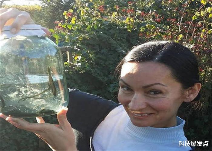 『』男子把水蛭放进52度二锅头中，奇异的一幕出现了，镜头全程记录！