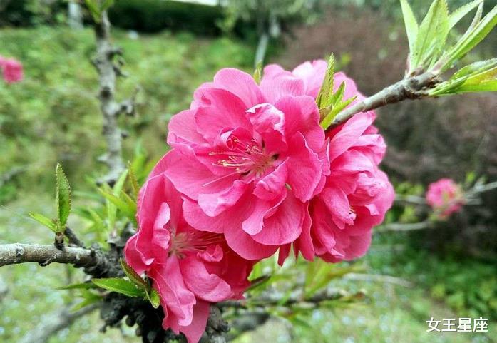 【生肖】财运在7月3号，收获满满，3生肖贵人帮，事业机遇找上门