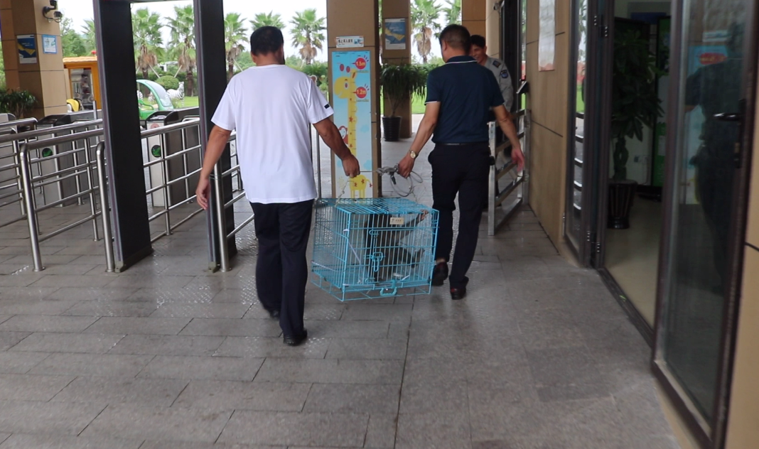 浙江法制报|这也能当宠物养？女子高调晒朋友圈，惹上大麻烦！