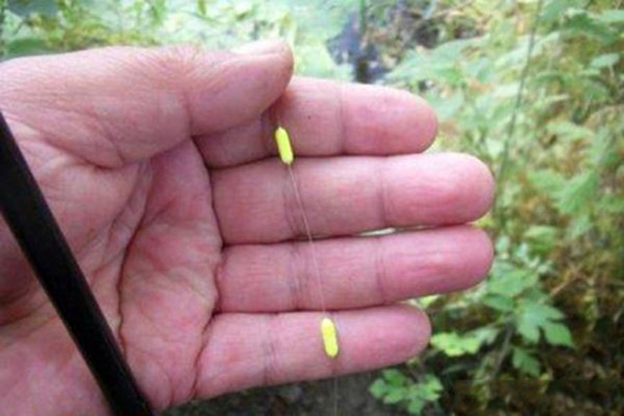 鲫鱼|秋钓心得,没那么多讲究,蚯蚓挂饵足矣