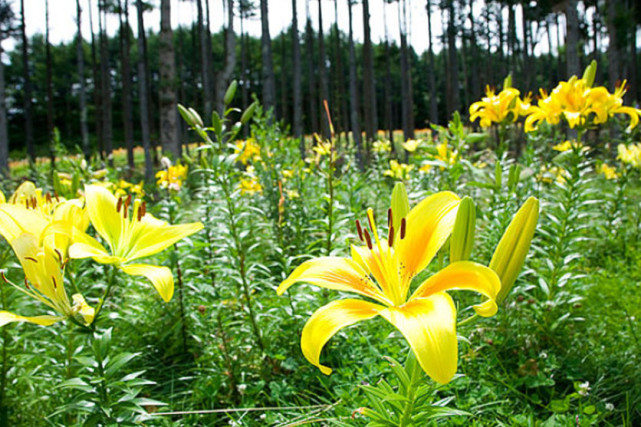 生肖|守得云开见月明，3生肖8月上旬吉星正照，财喜加持，收获富贵成功