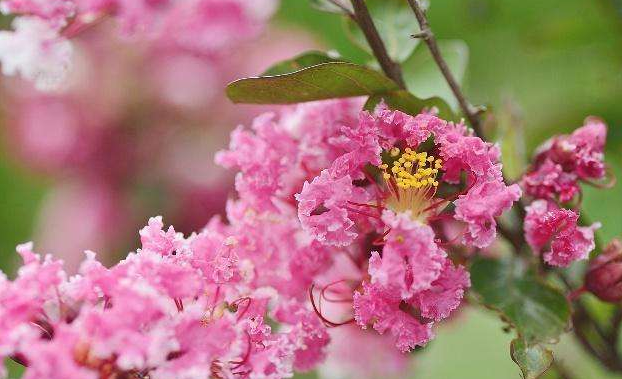 吉星|在10月1号后吉星照耀，横财大赚，时来运转的三生肖