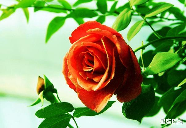 [运势]哪些月份出生的人，去年唉声叹气，今年喜不自胜，好事找上门