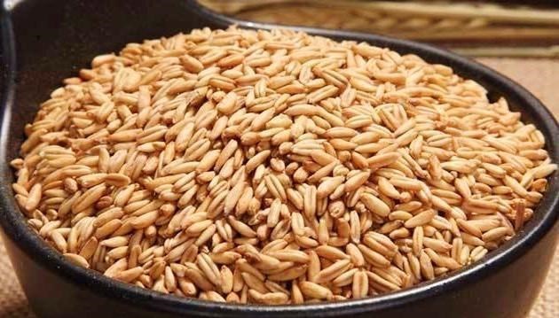 玉米|减肥最“狠”的4种主食，米饭并不是第一，这些主食容易让你变瘦
