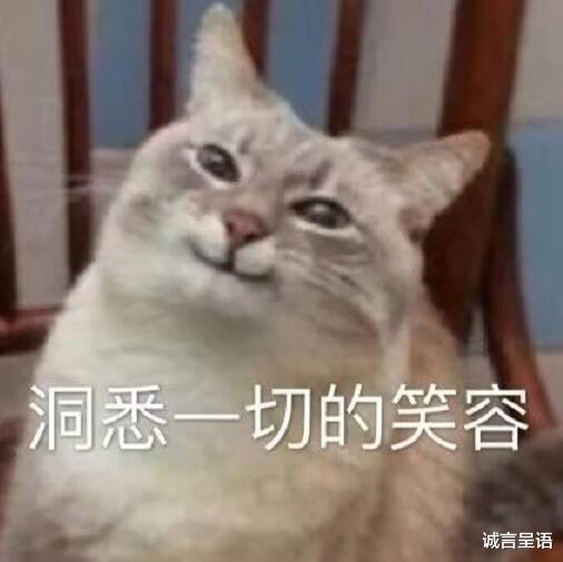 数学|没有被引导的普职比，你都不知道高考的独木桥有多窄