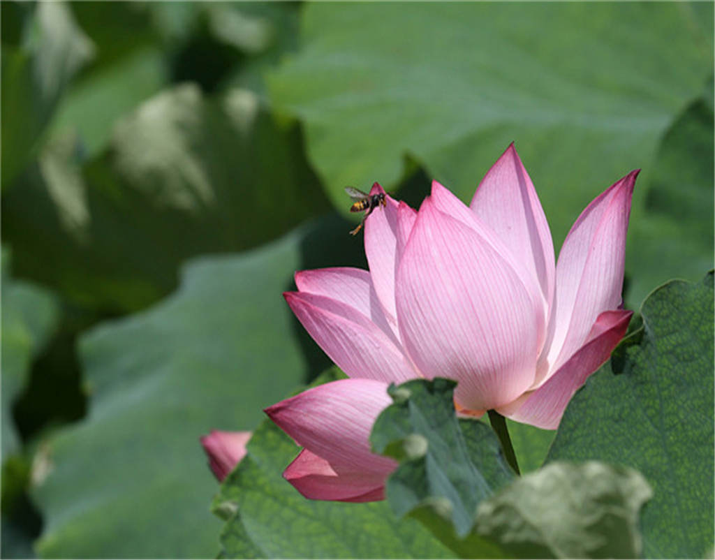 事业运|9月，贵人来护佑，3个星座事业运优秀，拥抱胜利！