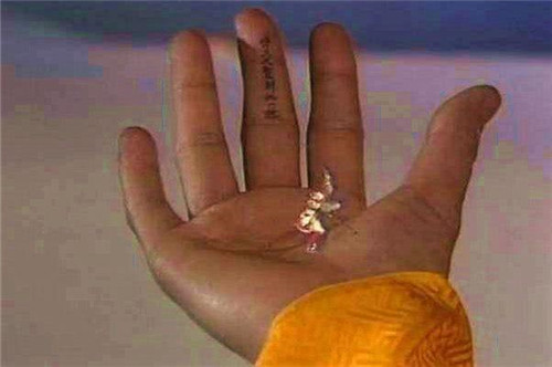 孙悟空▲世界上最小的猴子,巴掌上能放好几个,网友:逃不出如来佛的手心