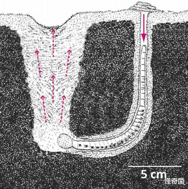 科学家|一块巨石被精准切成两半，却不是人类干的，至今仍是不解之谜