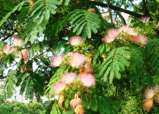 【生肖】进入五月下旬，4属相鸿运当头，前途一片辉煌，财运直线上升