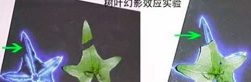 科学家|俄罗斯科学家拍到人体散发的能量场,很多神秘迎刃而解!