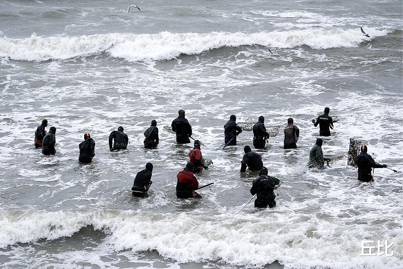 【琥珀】沧海桑田的时光宝石——琥珀