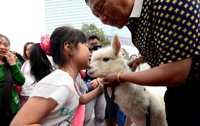 【全球股市】下周！全球股市又要重启暴跌模式！A股很危险！