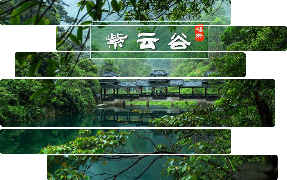 【肇庆】周末自驾带孩子:吃河鲜,玩水溯溪的好去处【紫云谷】