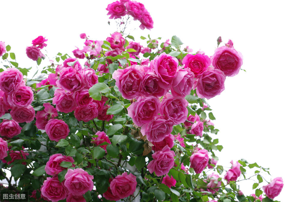 「肝脏」肝脏不好的人，睡觉时有4个表现，若没有，说明肝脏保养得还不错