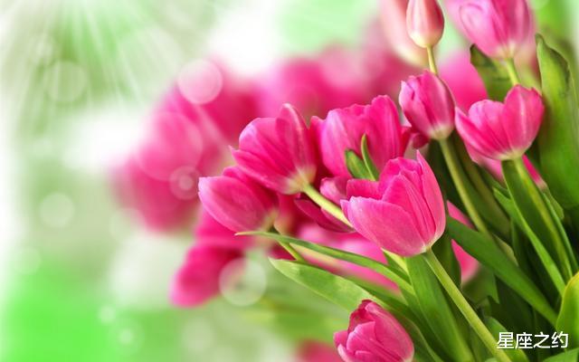 生肖@在5月下旬，前缘未尽，相思难断，失而复得的三大星座