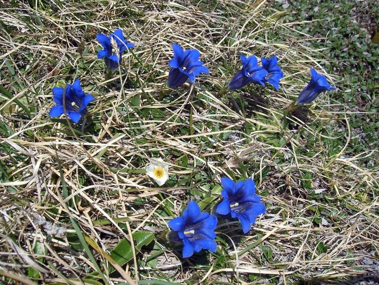 射手座|9月中旬，被好运眷顾，时来运转，逆风翻盘，一切顺利的4大星座