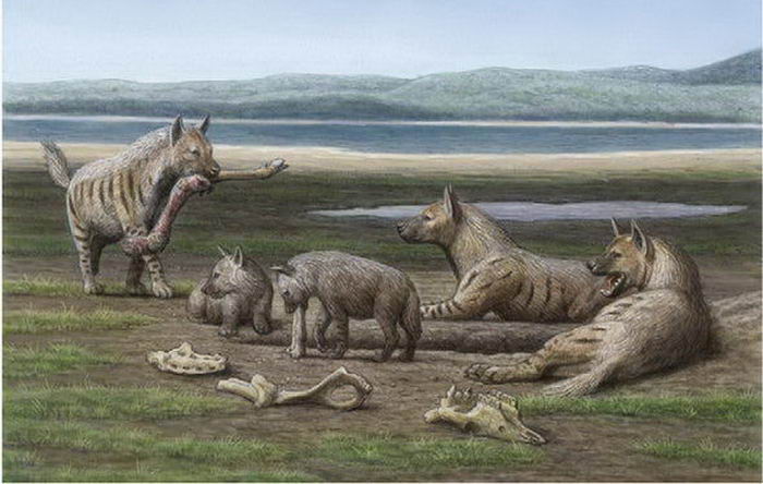 科学家|在这个世界上居住的20种生物比人类更长