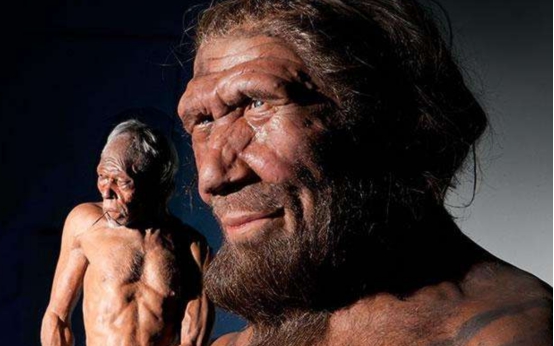 尼安德特人|男性尼安德特人并不存在?研究发现,他们并没有Y染色体