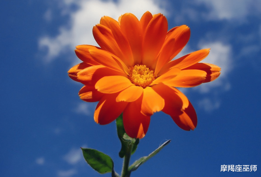 巨蟹座|11月上旬，再次复合，于心不甘，痴缠旧情人，余生爱恨纠缠到底