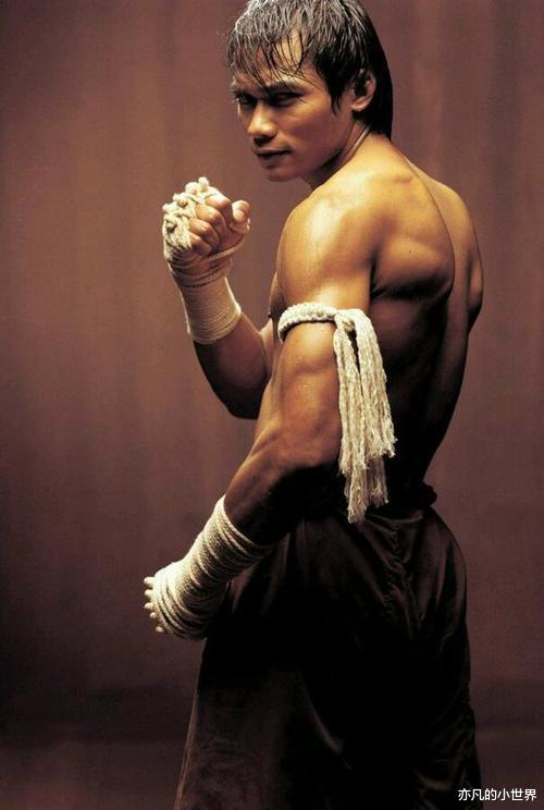 电影|曾经能与李小龙相提并论的“拳霸”托尼·贾,如今为何只能演配角