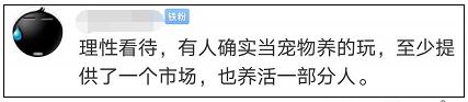 襄阳日报|惊讶！小伙靠捉这个，10年买两套房