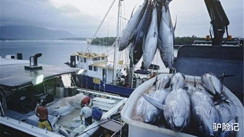 越南|越南的“王牌产品”,被美国拒绝后愿低价出口中国,却再次被拒