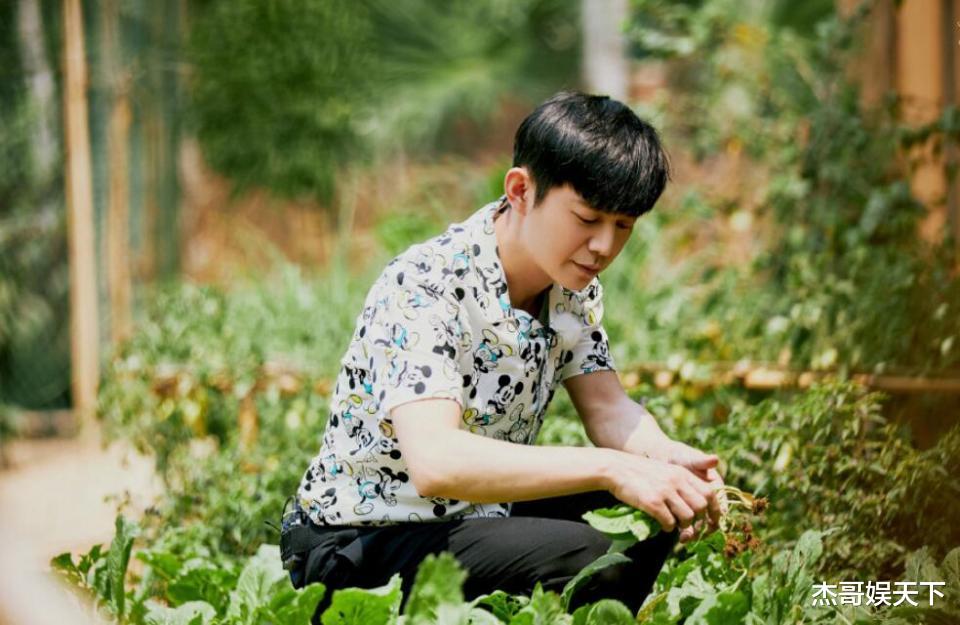 「陶虹」陶虹，最不该出现在蘑菇屋的人，但却是黄磊最喜欢接待的人