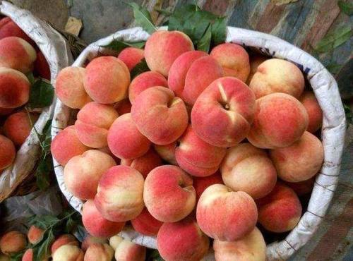 ▲买桃子就要挑“公”的，香甜多汁，学会这5个技巧，一挑一个准！