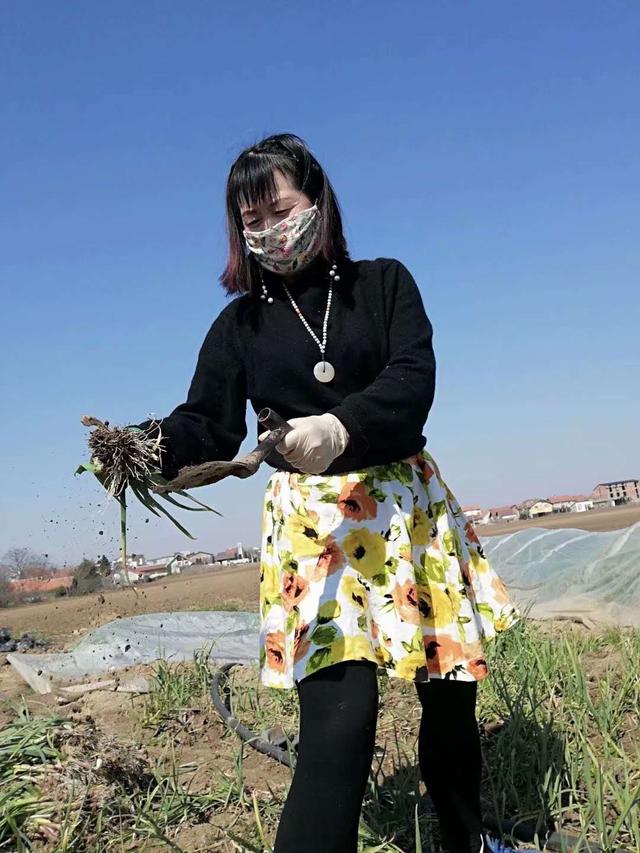 「塞尔维亚」滞留塞尔维亚，东北大姐到农场打工糊口，每天干活12小时