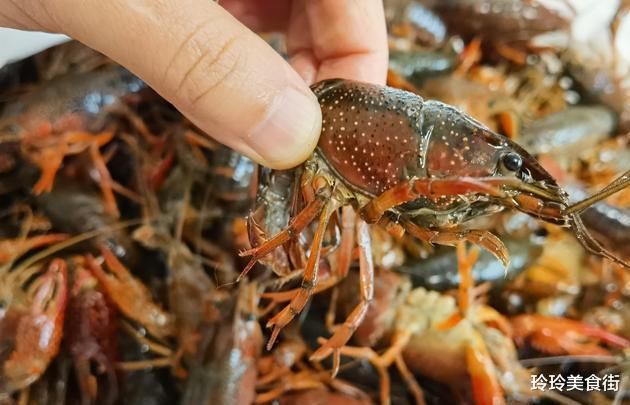 #小龙虾#小龙虾头部里的黄色东西，是“精华”还是“粪便”？扔掉就可惜了