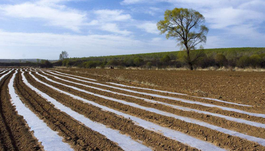 中国乡村之声|“一户一田”来了！对农民有什么好处？