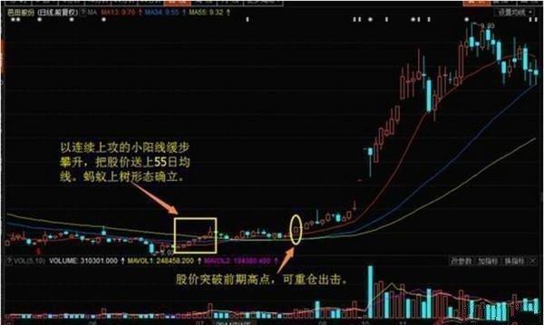 交易|个股一旦走出“蚂蚁上树”，证明主力洗盘完毕，股价起飞冲天