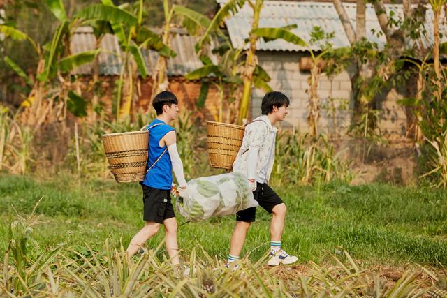 『向往的生活第四季』周五综艺大洗牌!《向往的生活4》收视率0.96%仍然夺冠,口碑遇冷