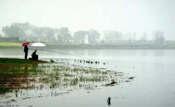 「」夏季钓鱼最关键之处！十年钓龄的大师都未必知，新手最好多读几遍