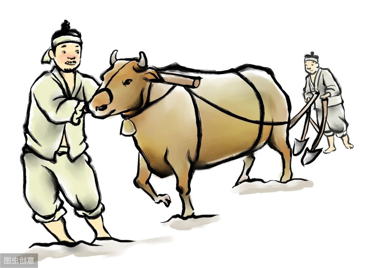 『养老金』农民每月400元养老金，哪年能领到？专家：已经有很多地方领到了