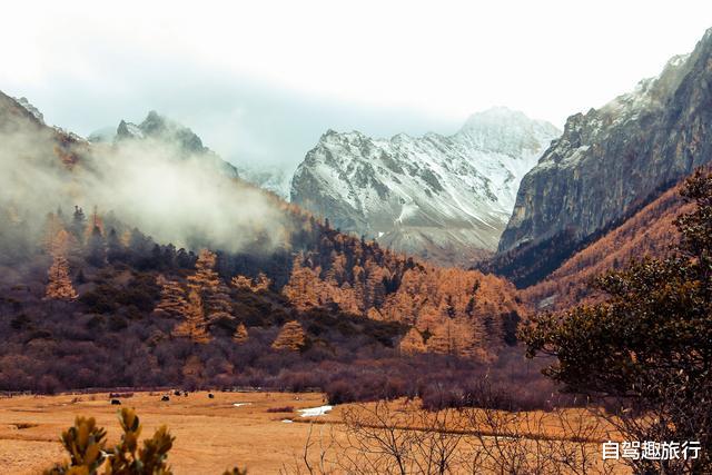 西藏■搭车自驾游西藏，费用AA制就够了？这笔钱不掏，朋友都没得做了