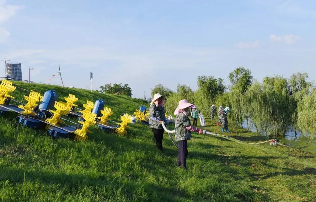 安徽商报|这股“异味”又来了！看洱海援军赴巢洗“藻”！