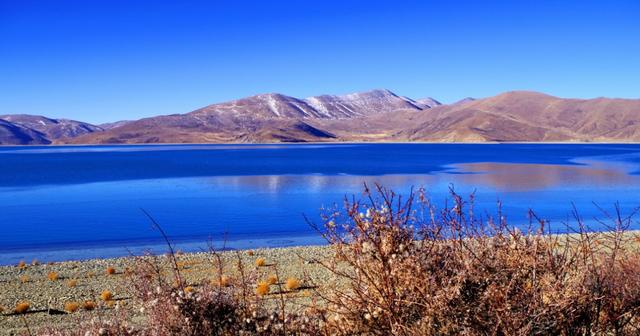 生肖|8月底，天降鸿运，贵人鼎力相助，4生肖咸鱼翻身，努力之后有回报