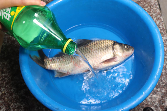 鲫鱼豆腐汤■把一大瓶雪碧倒入鱼盆中，不到2分钟，鲫鱼的反应让人想不到