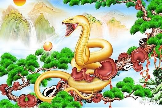 生肖|8月出低谷，9月上巅峰的4生肖，一天天富起来，今年不再走下坡