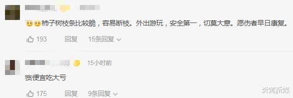 河南|贪!河南一女子看到野柿子去摘,结果树枝断裂从高处摔下导致骨折!