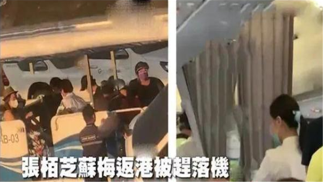 『谢霆锋』张柏芝状况不断，谢霆锋居然悠哉晒猫，无意暴露与王菲的现状
