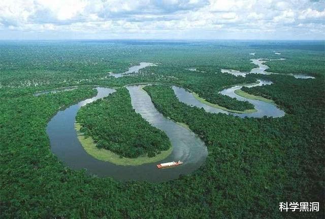 「亚马孙热带雨林」亚马逊雨林看起来是绿色天堂，实则是人类禁区，到底有多恐怖？