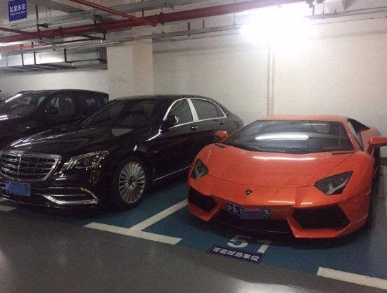 王思聪|王思聪私人司机月薪6万，3个招聘条件曝光，网友：其中1条无人能做到