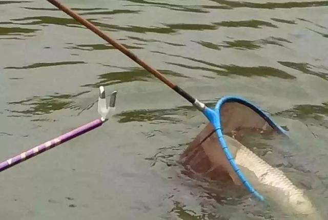 []钓鱼时不要帮别人捞鱼，容易引发请客吃饭、被骂、打架等大案！