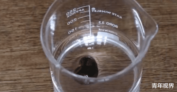 ##硫酸有多可怕?老外作死将水蛭扔进去,下一秒直接化成水!