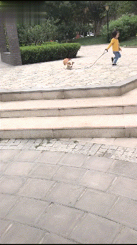 外星人|“外星人根据骨头，想象地球上的生物会是什么样的呢？”反差绝了