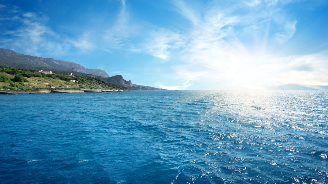 ：你胆子很大? “深海恐惧症”测试图你会点开吗？