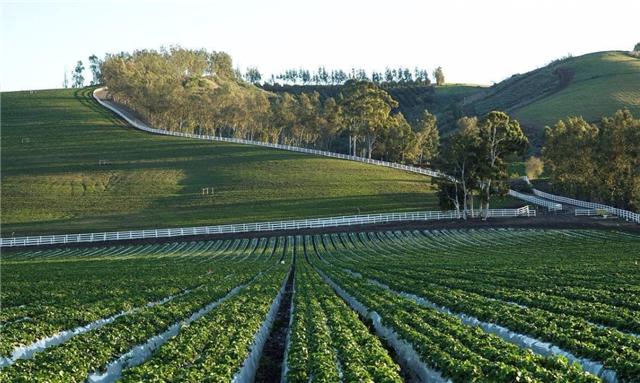 臆说古史|清华女博士隐居深山11年，靠种地年收入800万，亲生父母认不出来