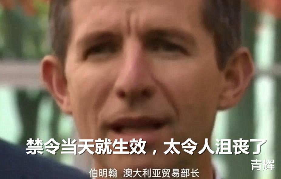 澳大利亚：我国暂停澳大利亚牛肉进口，俄罗斯牛肉已入境！澳部长抱怨：连招呼也不打
